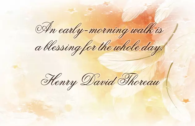 I Wish You Have A Wonderful Day