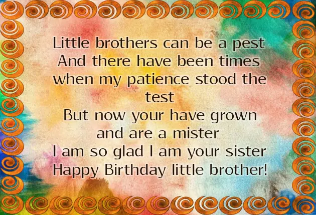 Happy Birthday Older Brother Funny Happy Birthday Older Brother Funny