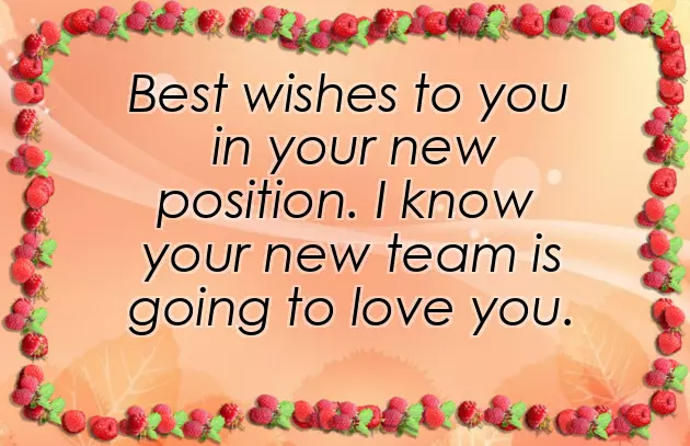 Wish You Congratulations Wish You Congratulations