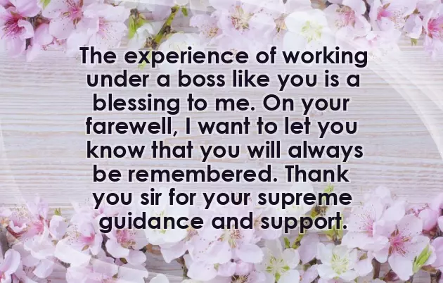 Farewell Wishes For Boss