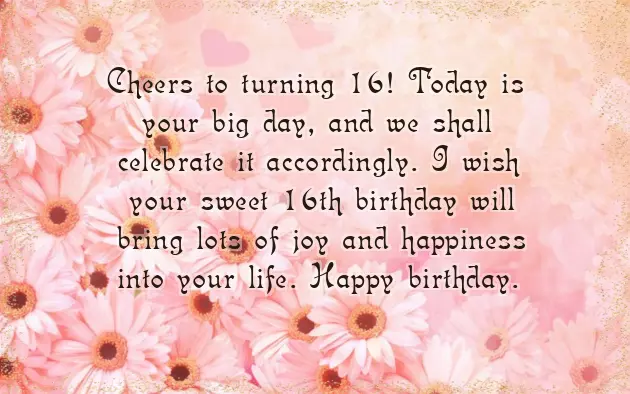 Birthday Wish For 16 Year Old Son Birthday Wish For 16 Year Old Son
