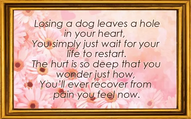 Poem For My Dog