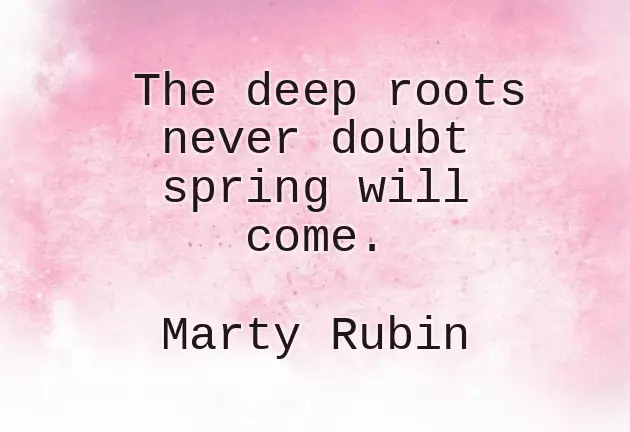 Congratulations And Well Wishes On New Beginnings