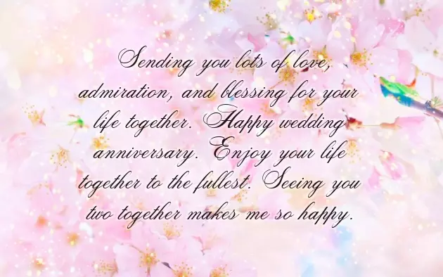 Best Wishes For Wedding Anniversary Couple