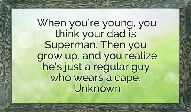 Birthday Caption For Father