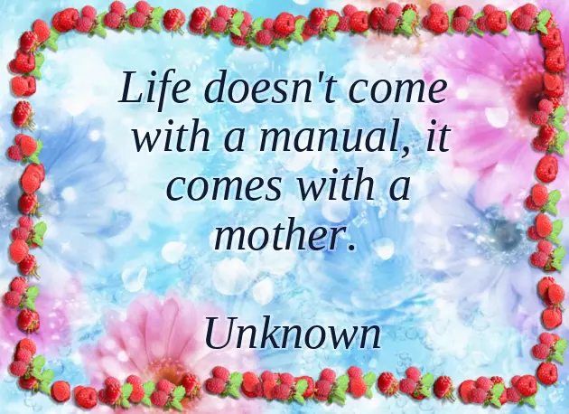 Funny Messages For Friends Birthday Funny Messages For Friends Birthday