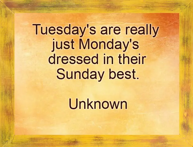 Funny Tuesday Greetings Funny Tuesday Greetings