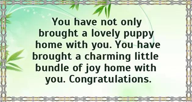 Congrats On Your New Puppy