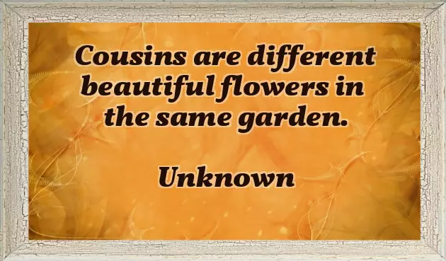 Best Wishes For Cousin Sister Birthday Best Wishes For Cousin Sister Birthday