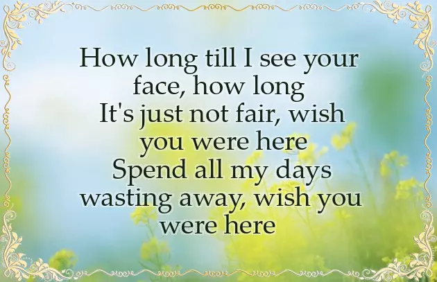 Wish You Were Here Lee Fields Wish You Were Here Lee Fields