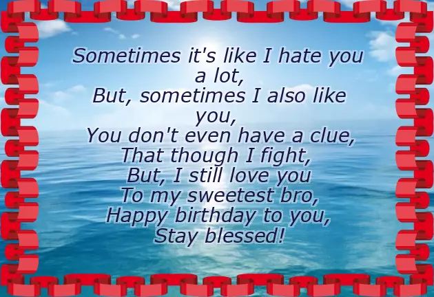 Funny Happy Birthday Brother Poems From Sister