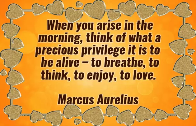 Good Morning Have A Nice Day Sunday Good Morning Have A Nice Day Sunday