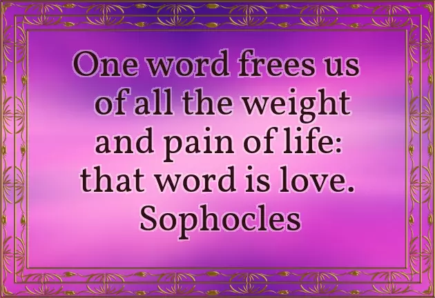 Good Night My Wife Good Night My Wife