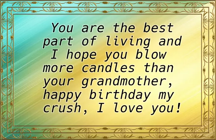 Happy Birthday Wish To My Crush