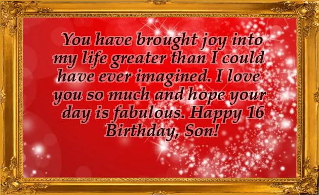 Birthday Quotes For 16 Year Old Son