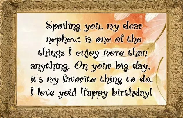 Little Nephew Birthday Quotes