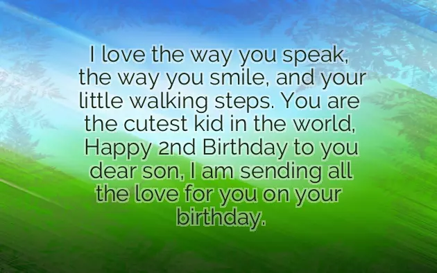 2 Birthday Wishes For Son