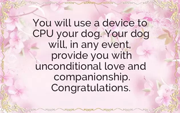 Congrats On Your New Puppy