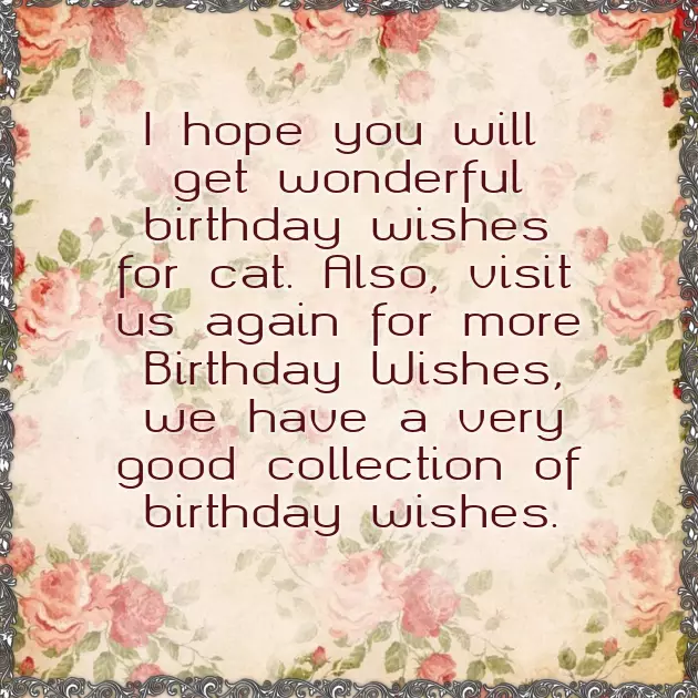 Birthday Wishes With Cat Birthday Wishes With Cat