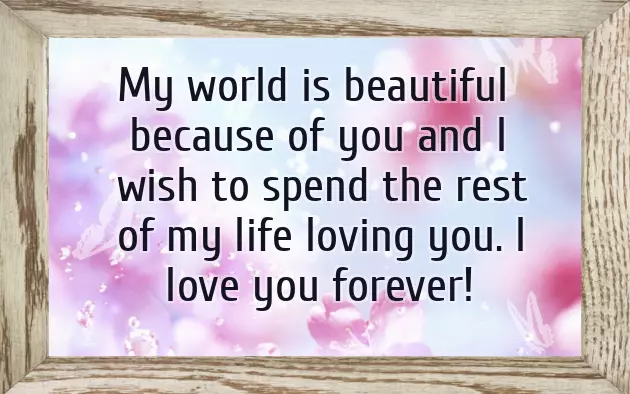 Fathers Day Wishes From Wife