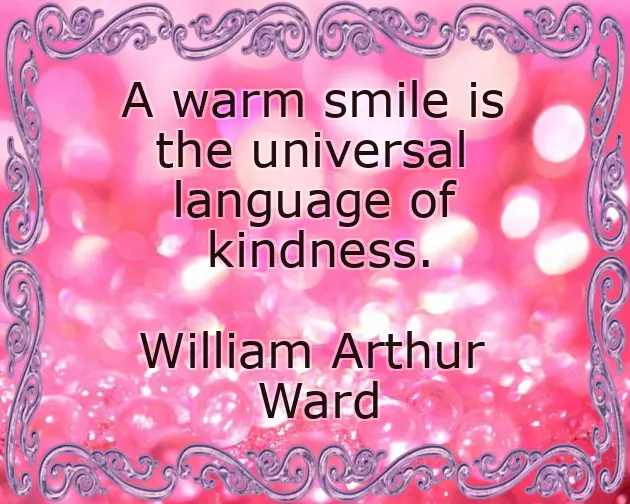 Sweet Baby Wishes Sweet Baby Wishes