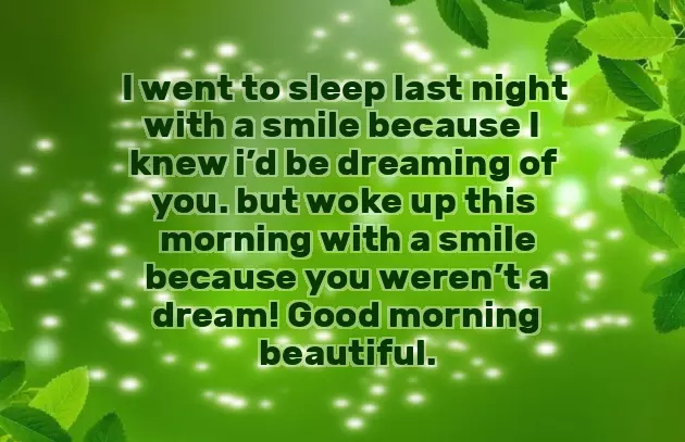 Sarcastic Morning Greetings