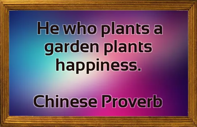 Single Line Quotes Single Line Quotes