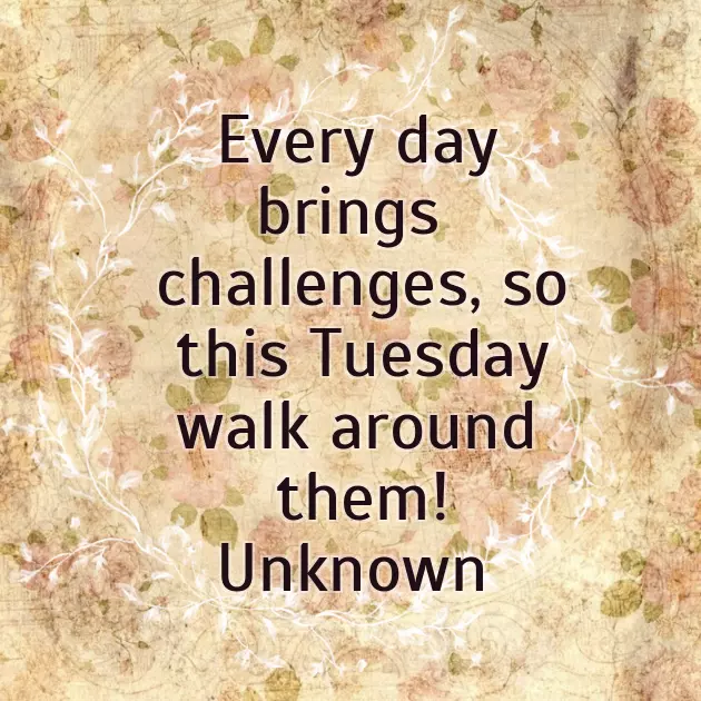 Happy Tuesday Good Morning Wishes