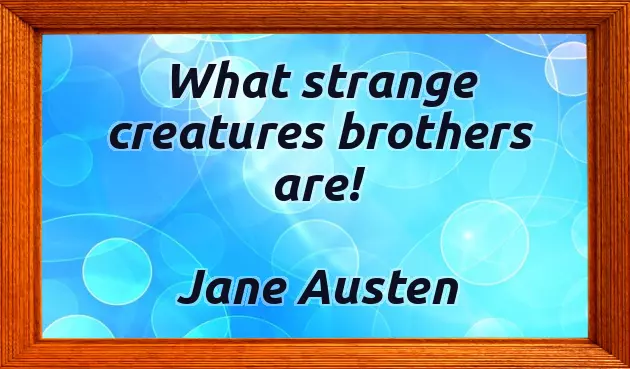 Happy Valentines Day Brother Funny