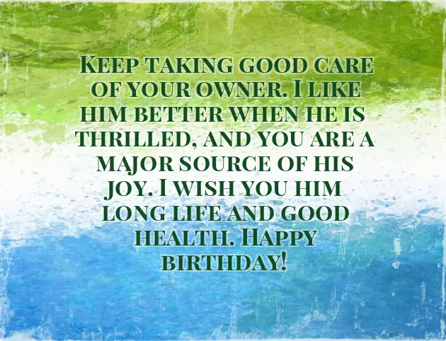 Happy Birthday Animals