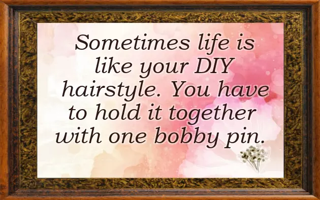 Life Cycle Quotes Life Cycle Quotes