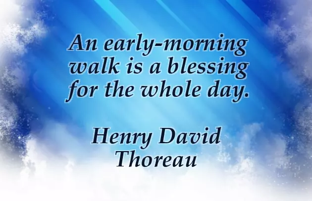 Good Morning Have A Blessed Day