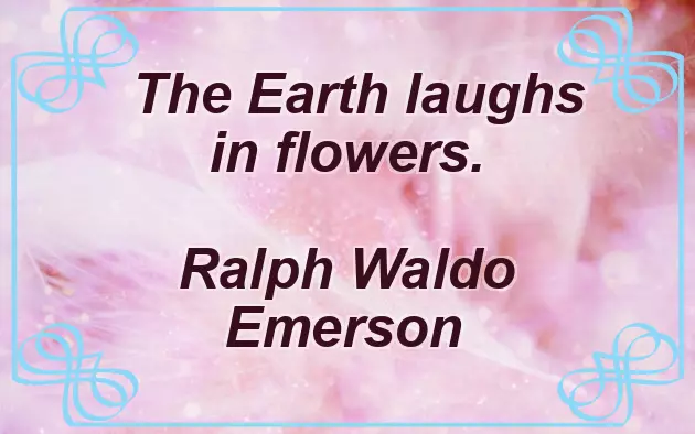 Easter Sunday Messages And Quotes Easter Sunday Messages And Quotes