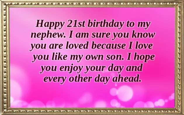 Funny Birthday Nephew