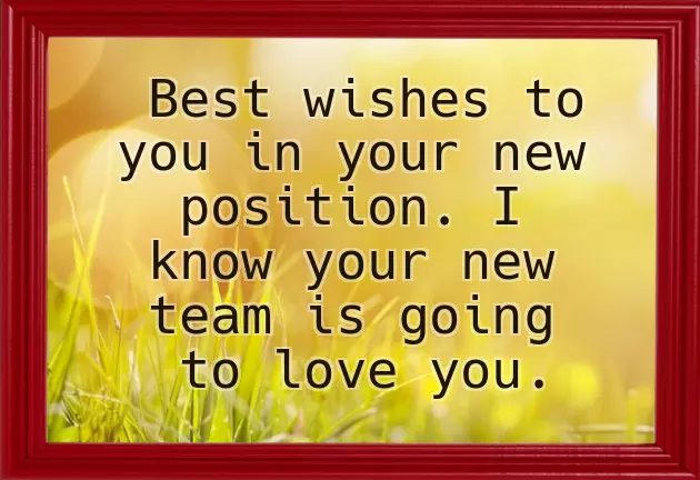 Congratulations On Your Great Success Congratulations On Your Great Success