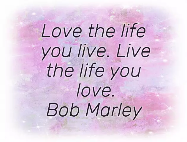 I Wish Him All The Success In His Future I Wish Him All The Success In His Future