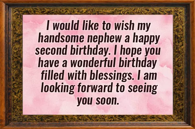 Happy Birthday To Nephew Funny Happy Birthday To Nephew Funny