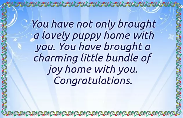 Congratulations On New Dog Congratulations On New Dog