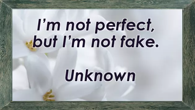 No One Is Perfect Quotes