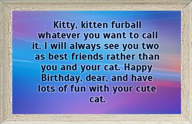 Funny Cat Birthday Wishes Funny Cat Birthday Wishes
