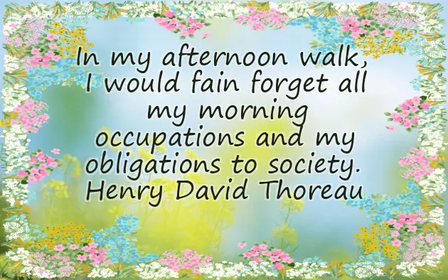 Another Way To Say Good Afternoon