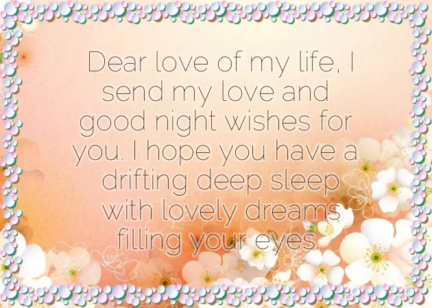 Good Night To The Love Of My Life