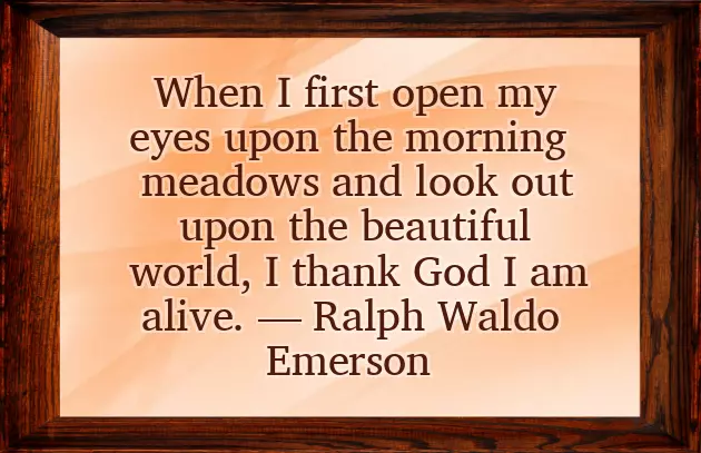 Sweet Long Good Morning Messages Sweet Long Good Morning Messages