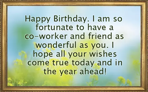 Birthday Friend Funny Quotes Birthday Friend Funny Quotes