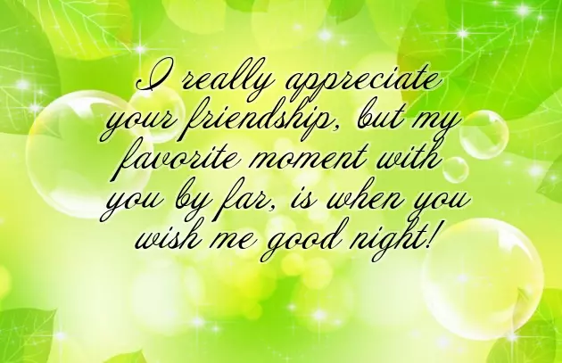 Lovely Good Night Message For A Friend
