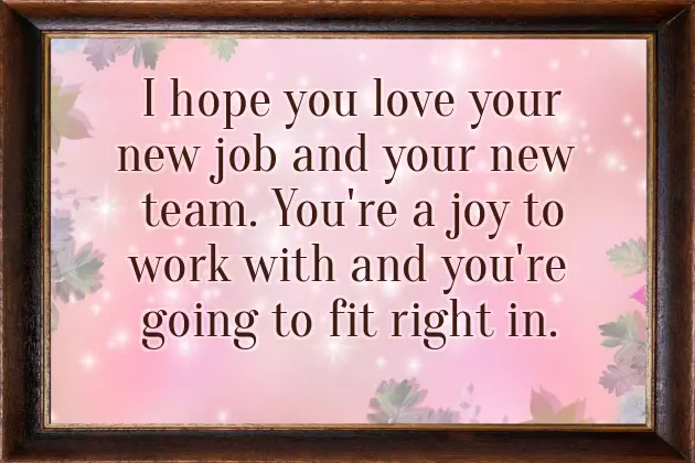 Congratulations You Are The Best Congratulations You Are The Best