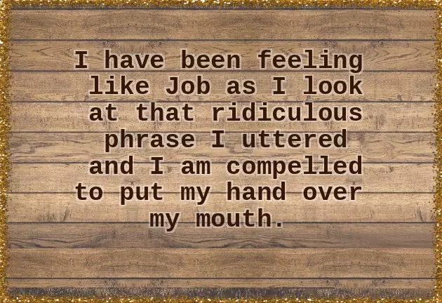 I Wish I Could Be Him I Wish I Could Be Him