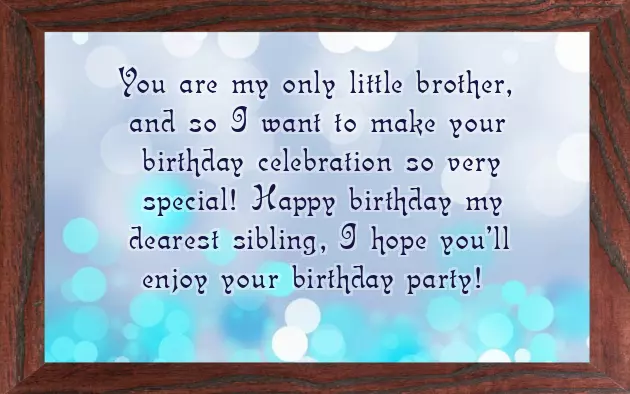 Funny Birthday Wishes For Annoying Brother Funny Birthday Wishes For Annoying Brother