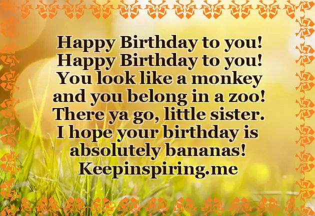 Birthday Wishes Humour