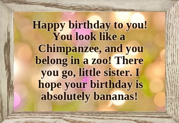 Little Sister Birthday Funny Quotes